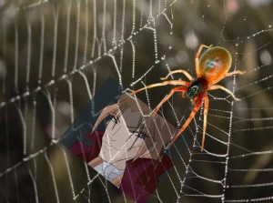Create meme: web, spider, spider drag