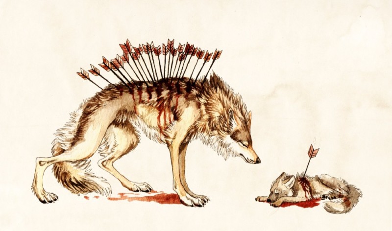 Create meme: wolves drawings, dead wolf art, a wolf with arrows in his back