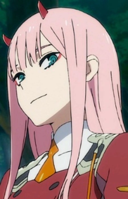 Create meme: cute in France, franxx zero two, Franks