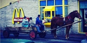 Create meme: the drive-thru horse, humor, funny pictures