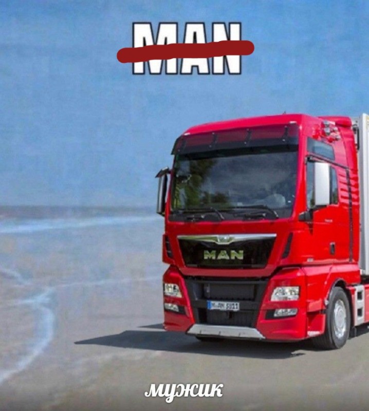 Create meme: man trucks, man, man tgx truck