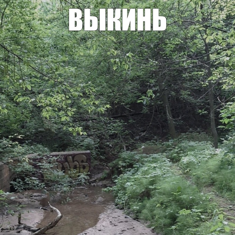 Create meme: river , the Danilikha River, studenets creek