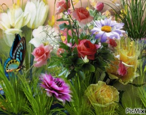 Create meme: summer flowers, flowers and butterflies, flowers