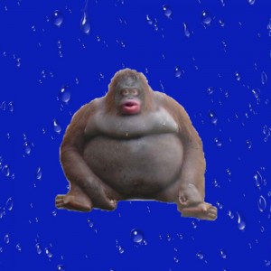 Le Monke PNG Transparent Template, Le Monke / Uh Oh Stinky