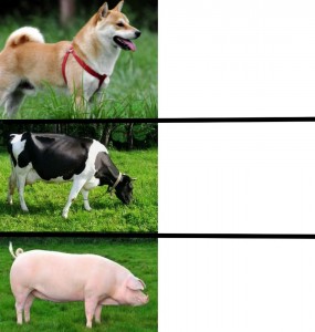 Create meme: Dog, dog, animals