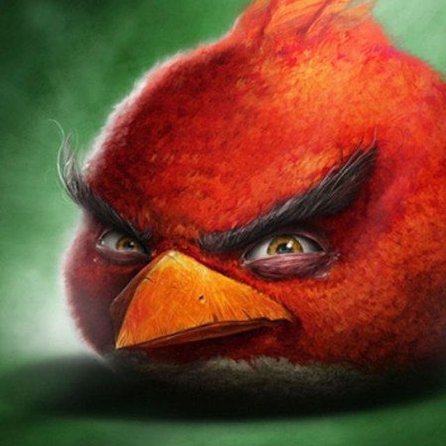 Create meme: Angri Birds the red bird, Angri Birds is red angry, Angri birds the red bird