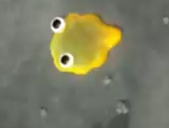 Create meme: yellow fish, yellow fish , fish 