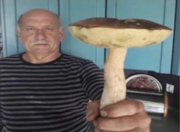 Create meme: the man with the mushroom, mushroom meme, will you have a mushroom