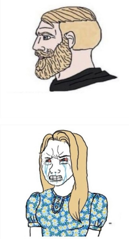 Create meme: bearded meme , bearded man meme, wojak memes