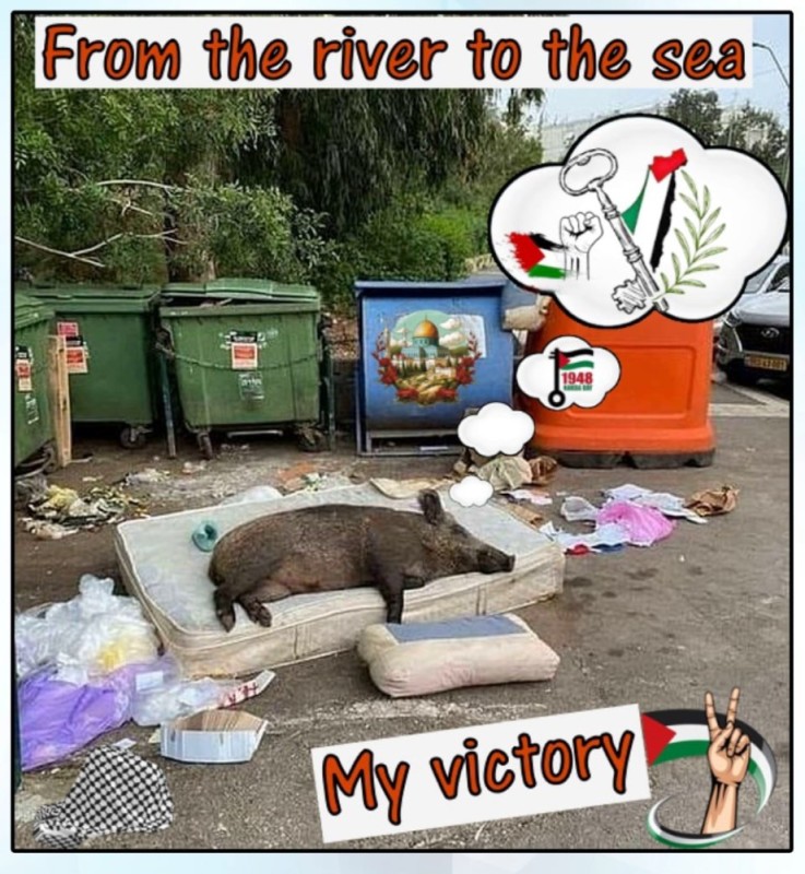 Create meme: wild boar in the trash, funny jokes, dirty pig