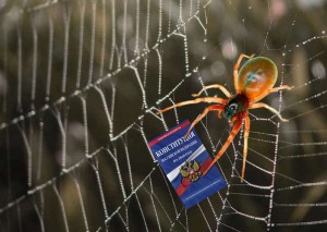 Создать мем: паук на паутине, паук плетет паутину, паук