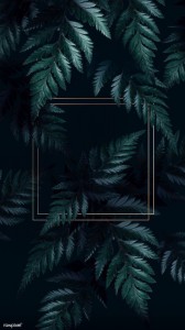 Create meme: fern, dark foliage Wallpaper, background