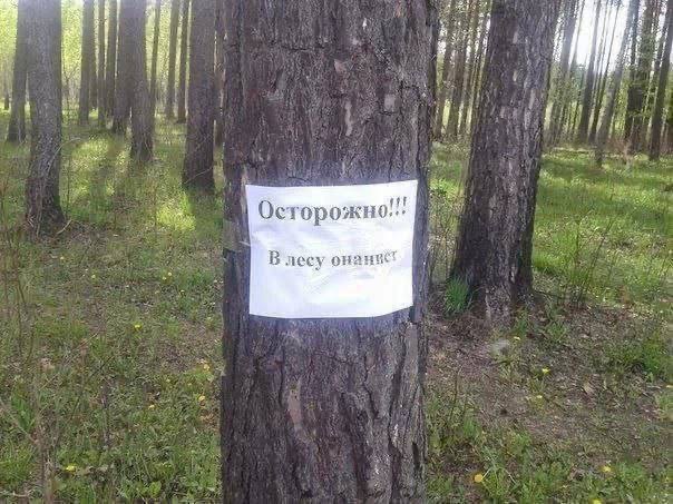 Create meme: funny signs in the forest, text page, A sign in the forest