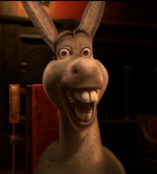 Create meme: donkey from shrek meme, donkey from shrek, donkey from Shrek 