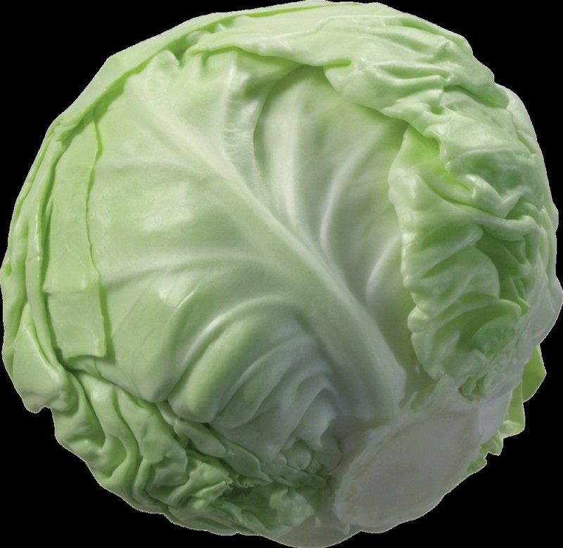 Create meme: white cabbage is a vegetable, young cabbage 1kg, cabbage