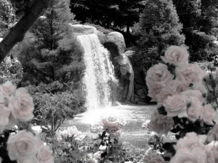 Create meme: waterfall flowers, landscape waterfall, nature waterfall