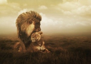 Create meme: love is not looking for another beauty, loving lions photos, art