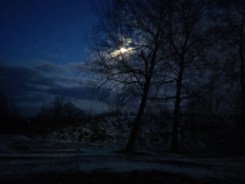 Create meme: nature night , night landscape, forest moon