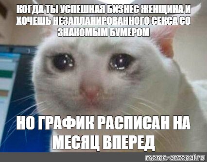 Ну зачем ты. Котик плачет. Ну и чего ты добился. Кот плачет Мем оригинал.