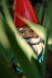 Create meme: gnome, garden gnomes, dwarf