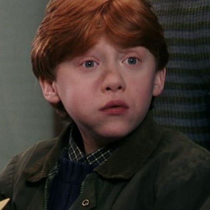 Create meme: Ron Harry Potter, Rupert Grint Harry Potter, Ron from Harry Potter