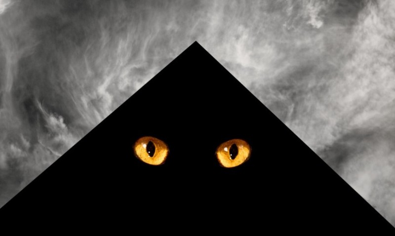 Create meme: The black cat, cat eyes on black background, cat's eyes in the dark