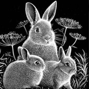 Create meme: black rabbit, picture rabbit, engraving