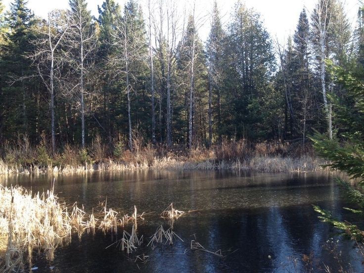 Create meme: nature , lake , furniture 