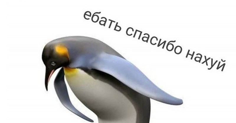 Create meme: thank you meme penguin, penguin thank you, the penguin meme