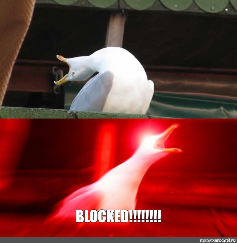 Meme "BLOCKED!!!!!!!!" All Templates