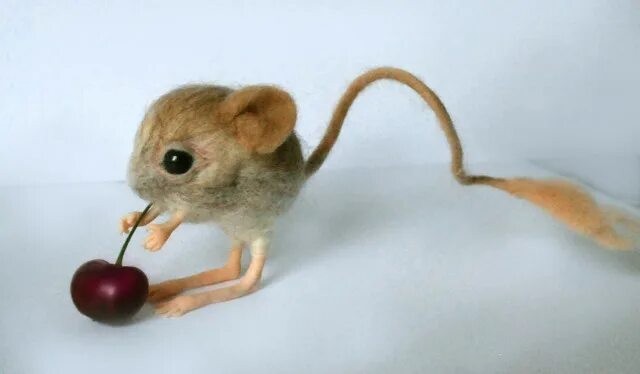 Create meme: Jerboa dormouse, jerboa, animal jerboa