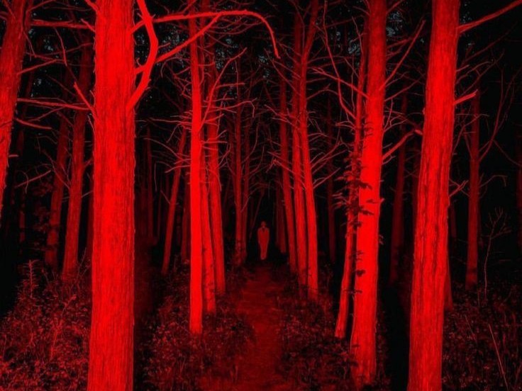 Create meme: dark forest, the forest is scary, bloody