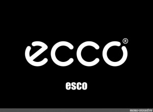 kursiv tage medicin beviser Create meme "ecco company logo, ecco logo ecco, logo ecco" - Pictures -  Meme-arsenal.com