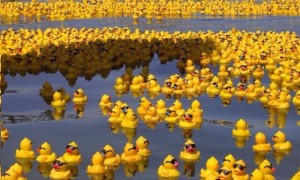 Create meme: rubber duck