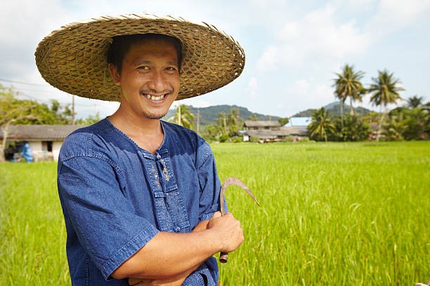 Create meme: farmer , The farmer is Asian, asian farmer