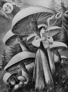 Create meme: fairy on mushroom, engraving, best engraving in the world