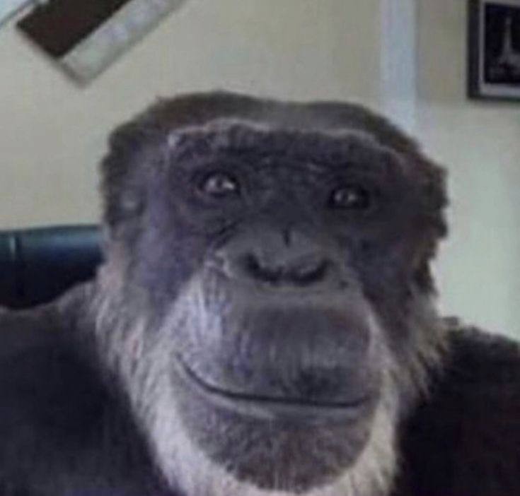 Создать мем: мем горилла, ладно обезьяна, обезьяны мем