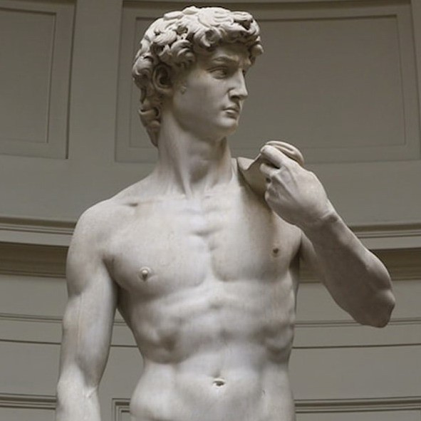 Create meme: michelangelo's statue of david, david michelangelo, david sculpture by michelangelo