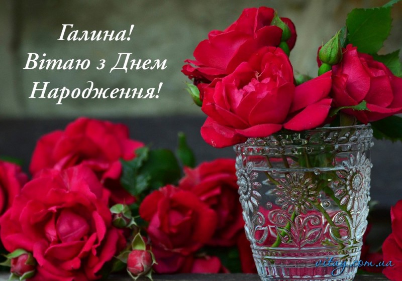 Create meme: beautiful roses , beautiful flowers , greeting cards