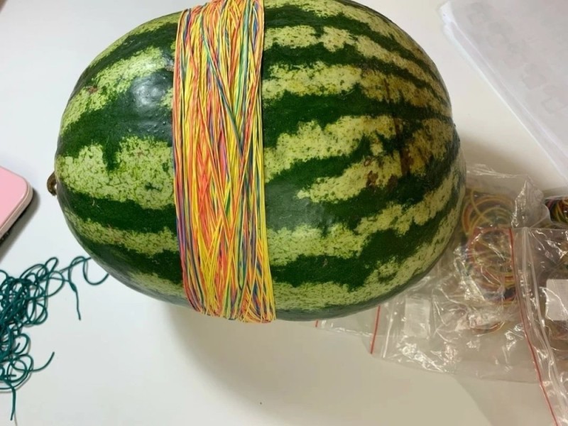 Create meme: watermelon photo, varieties of watermelon, ripe watermelon