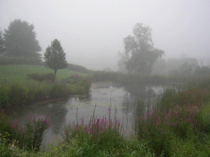 Create meme: nature fog, morning fog , lake fog