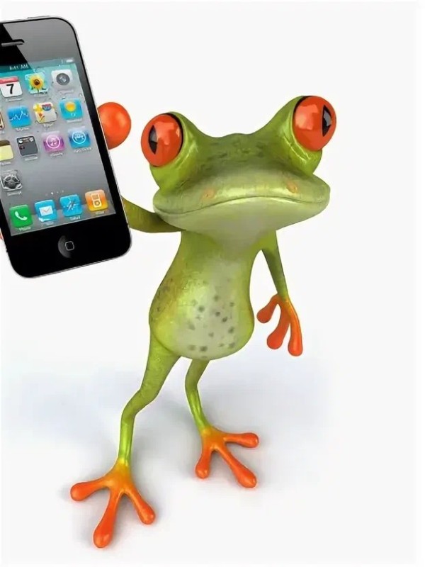 Create meme: frog phone, frogs, frog