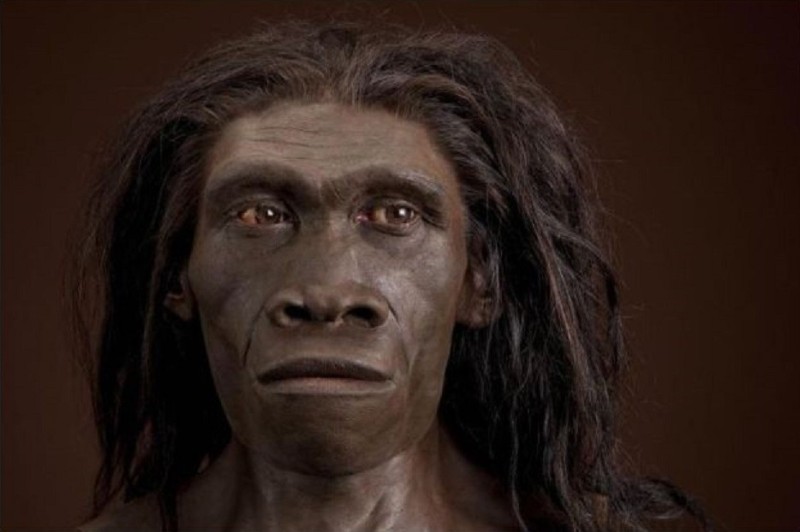 Создать мем: неандерталец и кроманьонец, хомо эректус, homo erectus soloensis