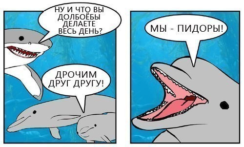 Create meme: Dolphin meme, a comic about a dolphin, funny shark