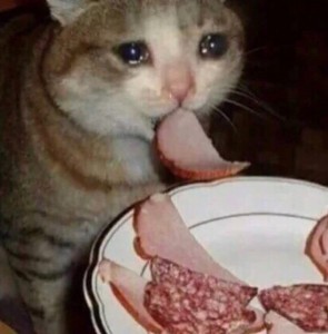 Create meme: the kitten ate the melted fat, cat stealing sausage photo, sad but good meme with a cat