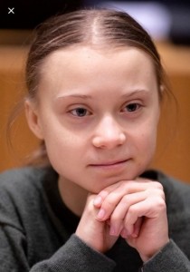 Создать мем: грета тунберг 2021, greta thunberg 2020, lage thunberg