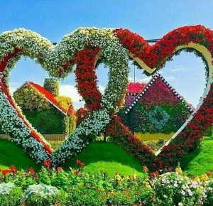 Создать мем: сад сердца, miracle garden, парк цветов