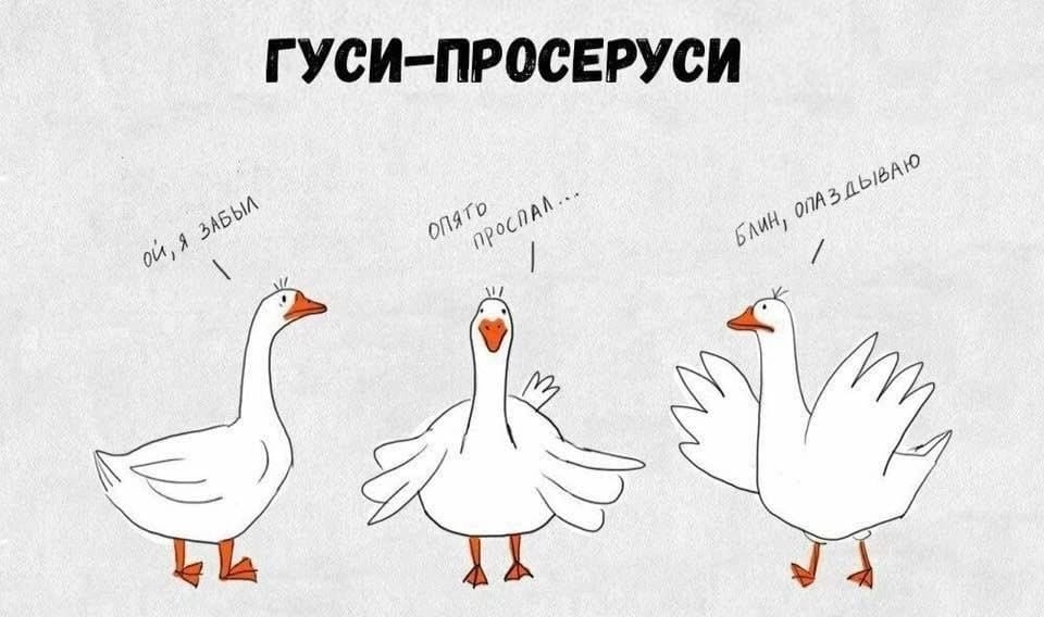 Гусь рисунок прикольный