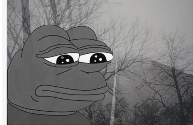 Create meme: Pepe sad, meme sad frog , sad frog 