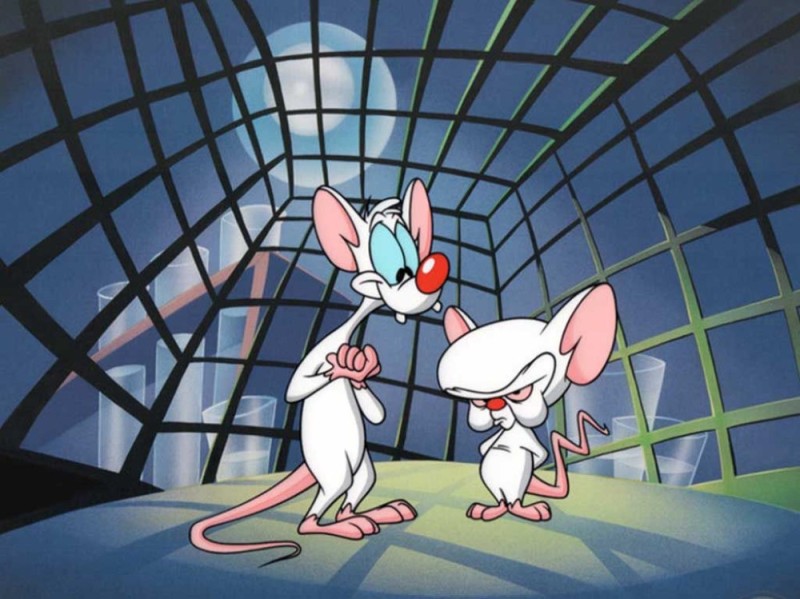 Create meme: Pinkie and Brain are taking over the world, pinky and brain take over the world, brain kicks